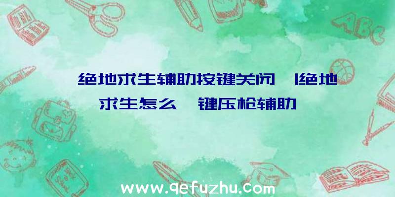 「绝地求生辅助按键关闭」|绝地求生怎么一键压枪辅助